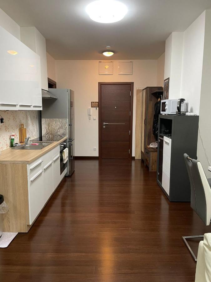 Spa Apartment Moser Karlovy Vary Dış mekan fotoğraf